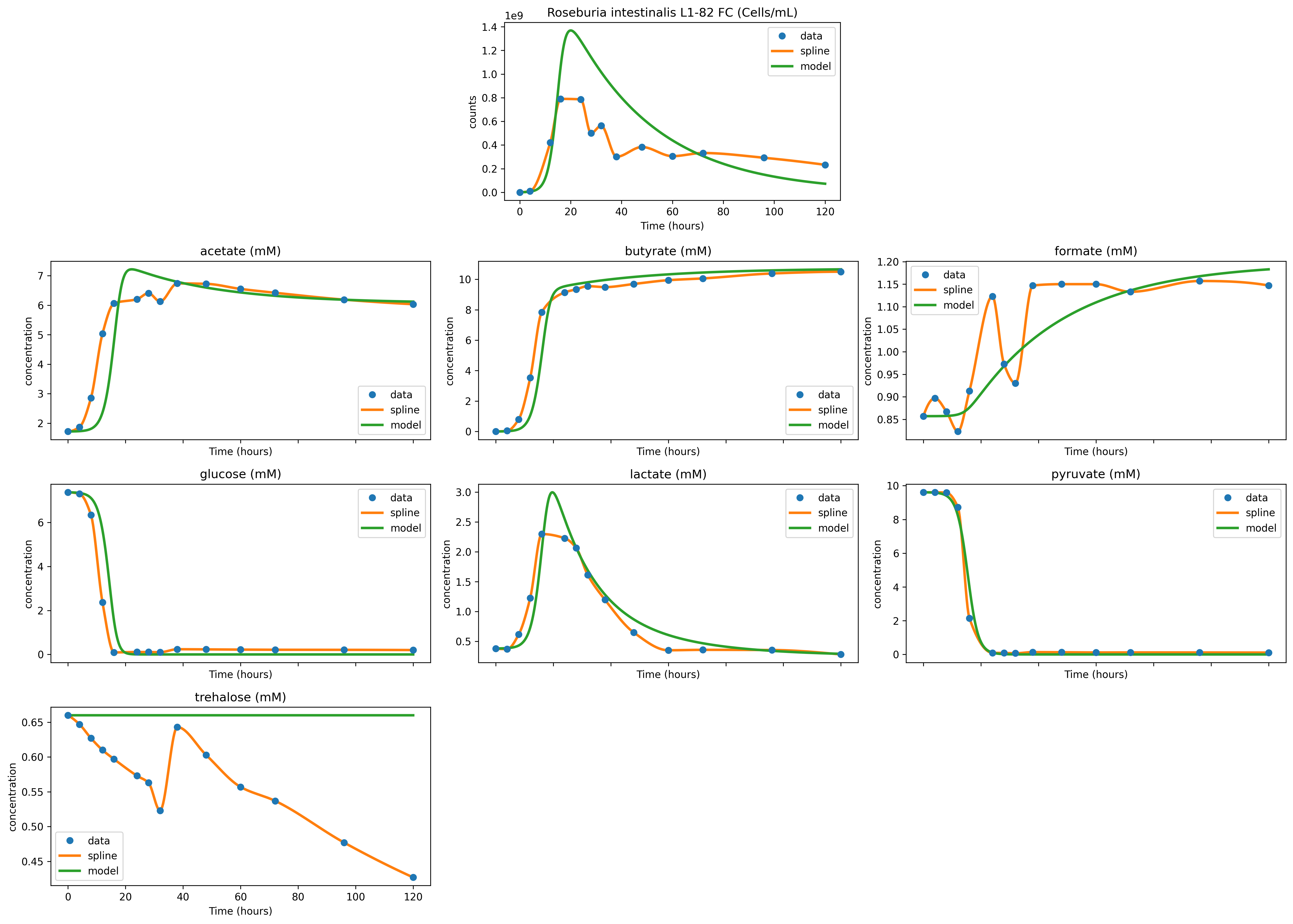Diauxic shift model simulation